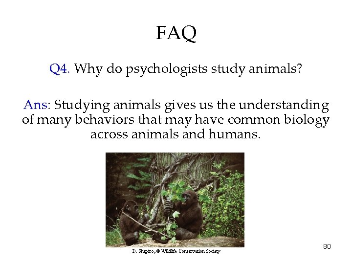 FAQ Q 4. Why do psychologists study animals? Ans: Studying animals gives us the