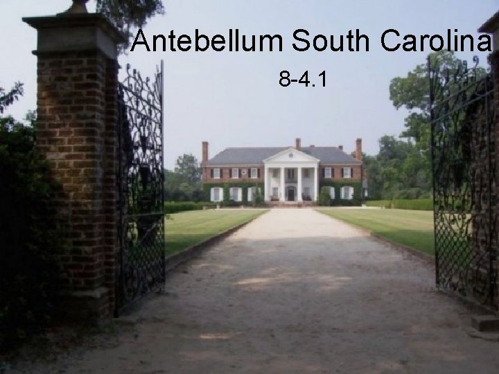Antebellum South Carolina 8 -4. 1 