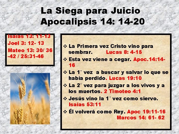 La Siega para Juicio Apocalipsis 14: 14 -20 Isaías 13: 11 -13 Joel 3:
