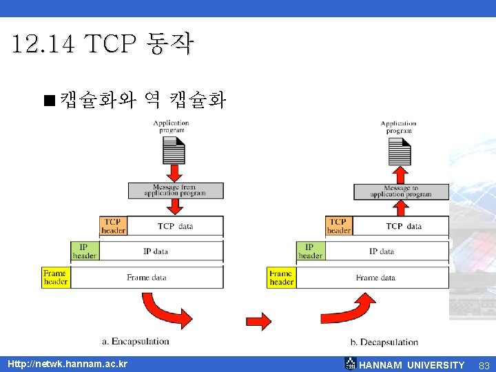 12. 14 TCP 동작 <캡슐화와 역 캡슐화 Http: //netwk. hannam. ac. kr HANNAM UNIVERSITY