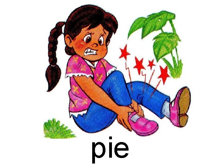 pie 