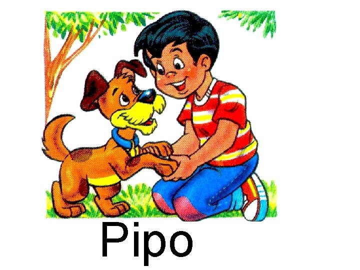 Pipo 
