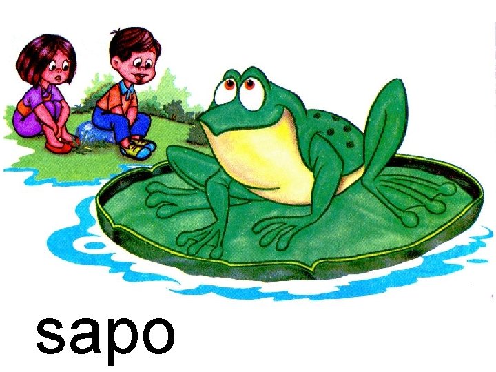 sapo 