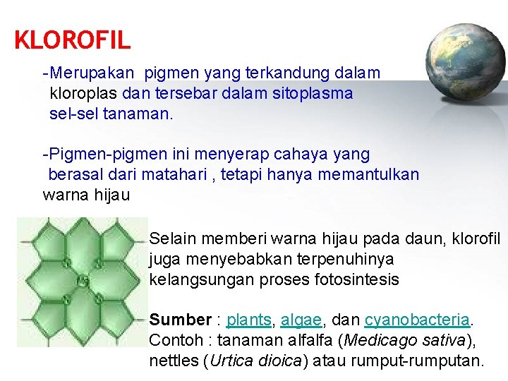KLOROFIL - Merupakan pigmen yang terkandung dalam kloroplas dan tersebar dalam sitoplasma sel-sel tanaman.