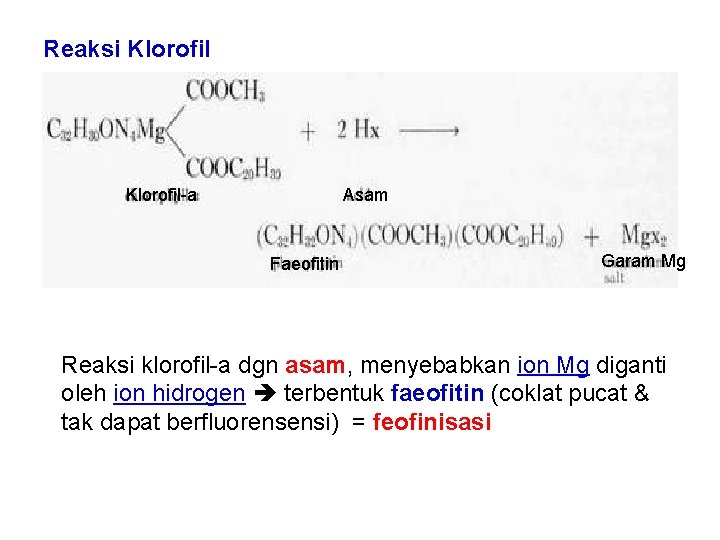 Reaksi Klorofil-a Asam Faeofitin Garam Mg Reaksi klorofil-a dgn asam, menyebabkan ion Mg diganti