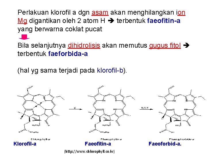 Perlakuan klorofil a dgn asam akan menghilangkan ion Mg digantikan oleh 2 atom H