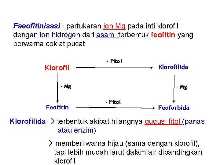 Faeofitinisasi : pertukaran ion Mg pada inti klorofil dengan ion hidrogen dari asam terbentuk
