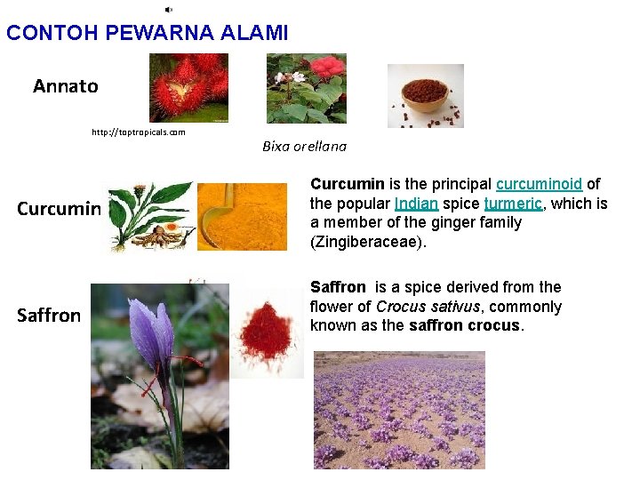 CONTOH PEWARNA ALAMI Annato http: //toptropicals. com Curcumin Saffron Bixa orellana Curcumin is the