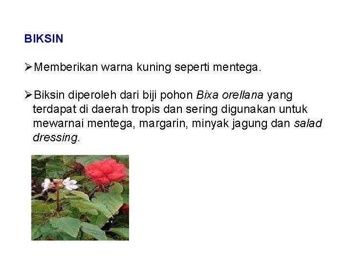 BIKSIN ØMemberikan warna kuning seperti mentega. ØBiksin diperoleh dari biji pohon Bixa orellana yang