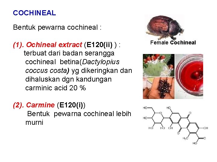 COCHINEAL Bentuk pewarna cochineal : Ochineal extract (E 120(ii) ) : (1). terbuat dari