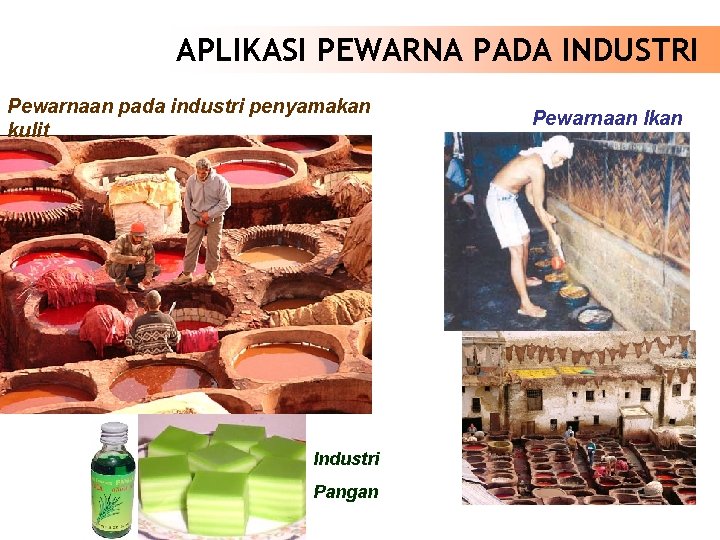 APLIKASI PEWARNA PADA INDUSTRI Pewarnaan pada industri penyamakan kulit Industri Pangan Pewarnaan Ikan 