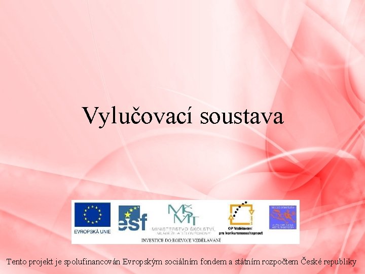 Vylučovací soustava Tento projekt je spolufinancován Evropským sociálním fondem a státním rozpočtem České republiky