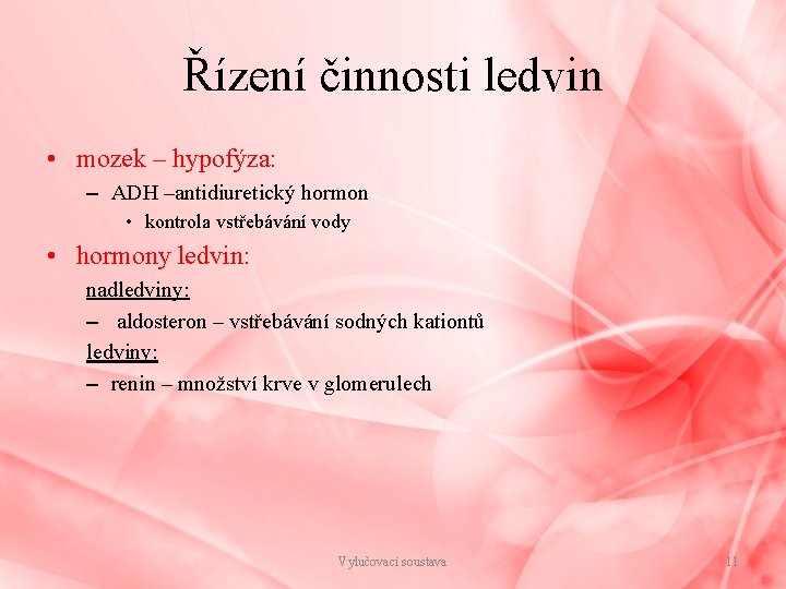 Řízení činnosti ledvin • mozek – hypofýza: – ADH –antidiuretický hormon • kontrola vstřebávání