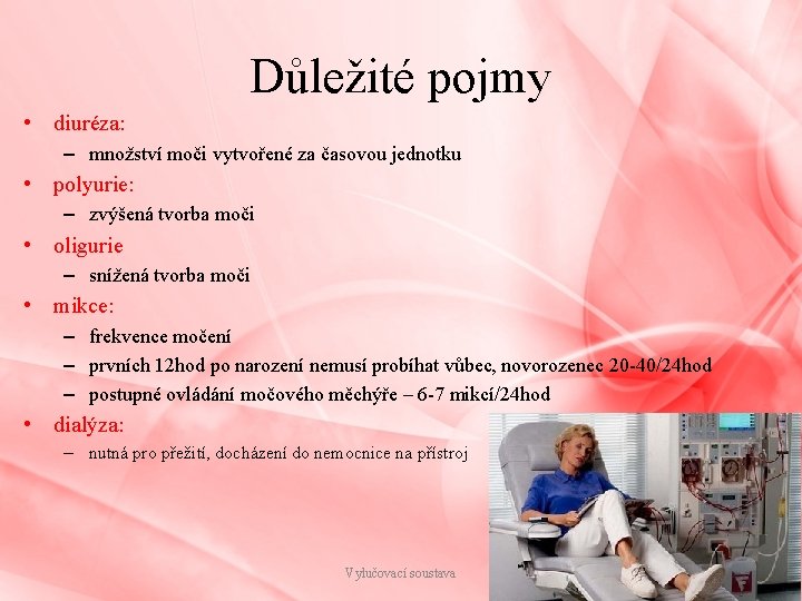 Důležité pojmy • diuréza: – množství moči vytvořené za časovou jednotku • polyurie: –