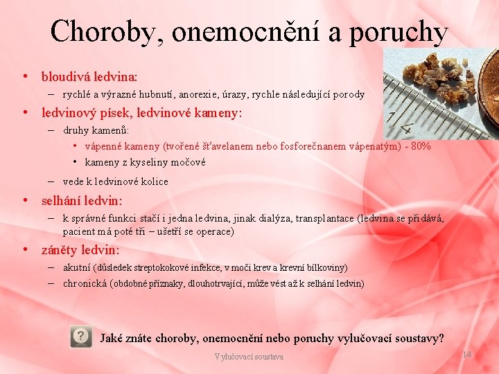 Choroby, onemocnění a poruchy • bloudivá ledvina: – rychlé a výrazné hubnutí, anorexie, úrazy,