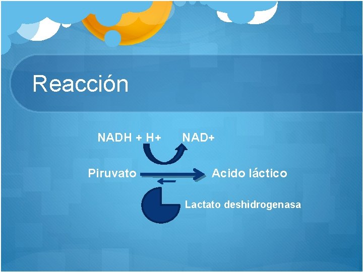 Reacción NADH + H+ Piruvato NAD+ Acido láctico Lactato deshidrogenasa 
