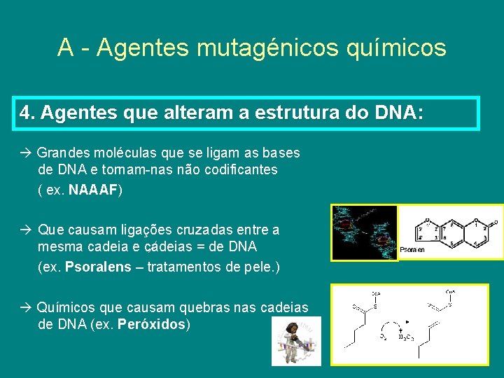 A - Agentes mutagénicos químicos 4. Agentes que alteram a estrutura do DNA: Grandes
