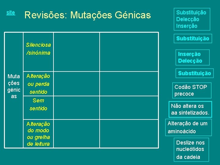 site Revisões: Mutações Génicas Substituição Delecção Inserção Substituição Silenciosa /sinónima Muta ções génic as