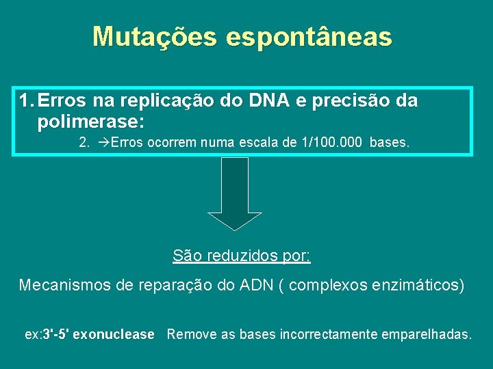 Mutações espontâneas 1. Erros na replicação do DNA e precisão da polimerase: 2. Erros