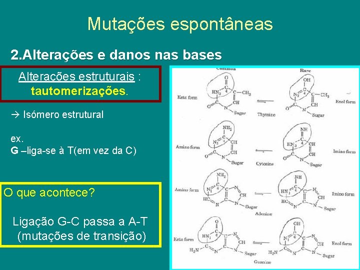 Mutações espontâneas 2. Alterações e danos nas bases Alterações estruturais : tautomerizações. Isómero estrutural