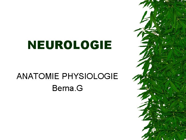 NEUROLOGIE ANATOMIE PHYSIOLOGIE Berna. G 