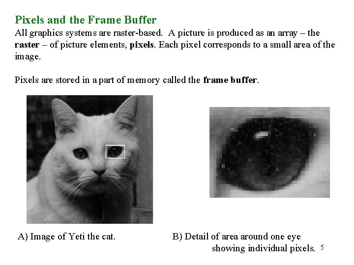 Pixels and the Frame Buffer All graphics systems are raster-based. A picture is produced
