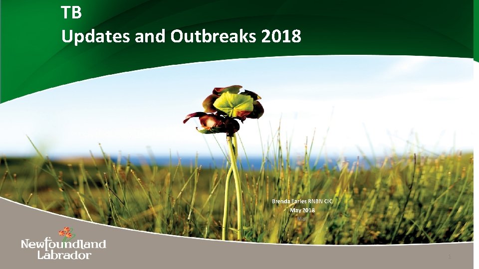 TB Updates and Outbreaks 2018 Brenda Earles RNBN CIC May 2018 May 1 