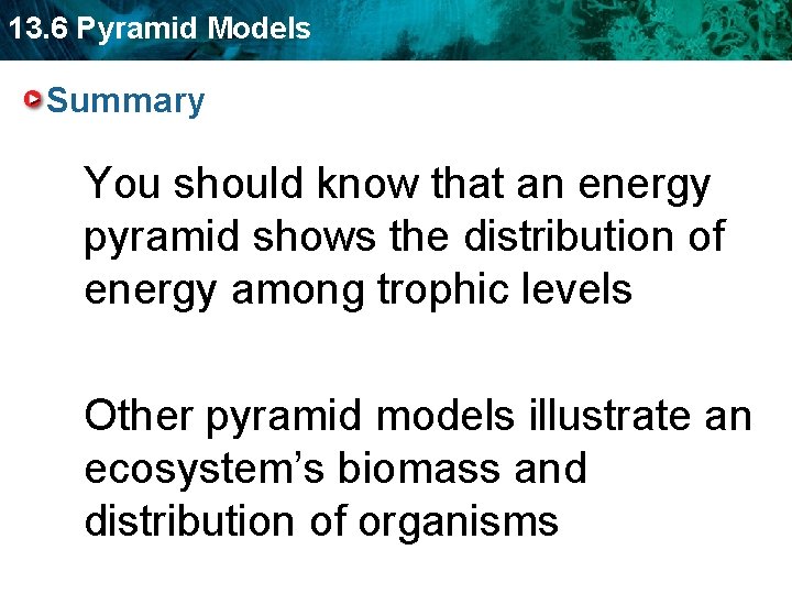 13. 6 Pyramid Models Summary You should know that an energy pyramid shows the