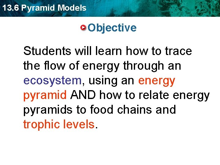 13. 6 Pyramid Models Objective Students will learn how to trace the flow of