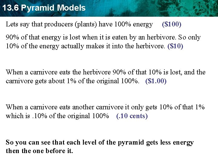 13. 6 Pyramid Models Lets say that producers (plants) have 100% energy ($100) 90%