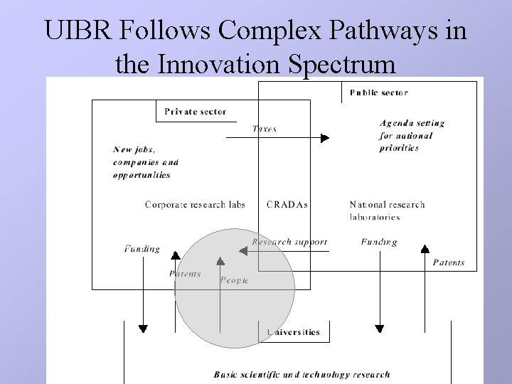 UIBR Follows Complex Pathways in the Innovation Spectrum UIBR Follows Complex Pathways in the Innovation Spectrum