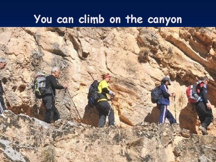 You can climb on the canyon 