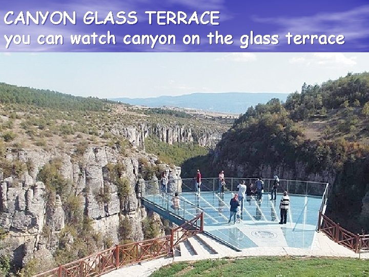 CANYON GLASS TERRACE you can watch canyon on the glass terrace 