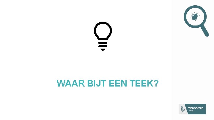 WAAR BIJT EEN TEEK? 