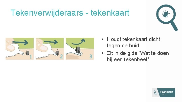 Tekenverwijderaars - tekenkaart • Houdt tekenkaart dicht tegen de huid • Zit in de Tekenverwijderaars - tekenkaart • Houdt tekenkaart dicht tegen de huid • Zit in de