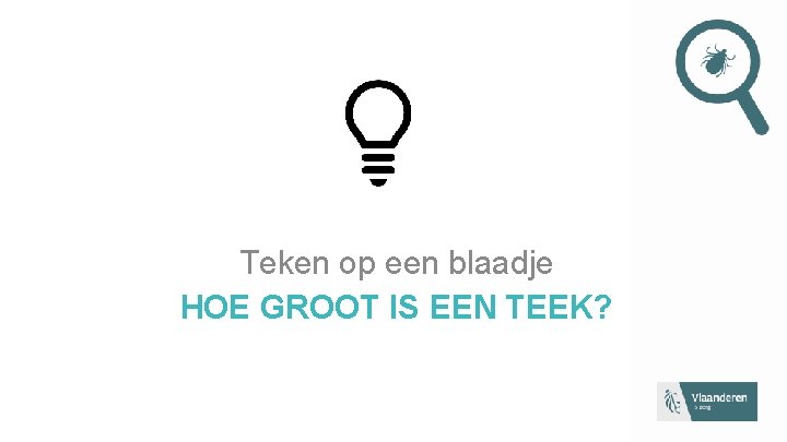 Teken op een blaadje HOE GROOT IS EEN TEEK? 