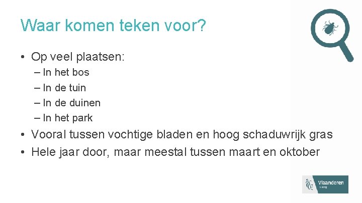 Waar komen teken voor? • Op veel plaatsen: – In het bos – In