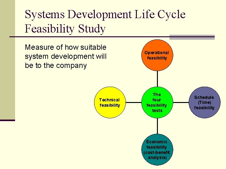 Systems Development Life Cycle Feasibility Study Measure of how suitable system development will be
