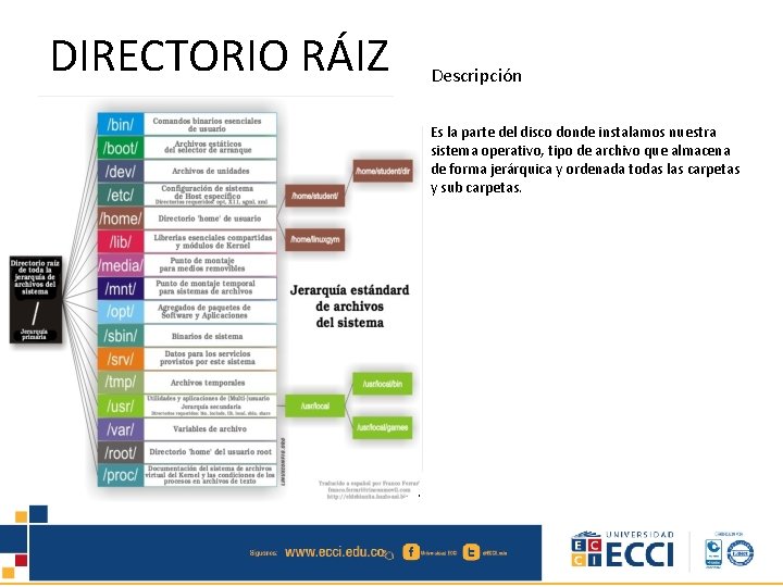 DIRECTORIO RÁIZ Descripción Es la parte del disco donde instalamos nuestra sistema operativo, tipo