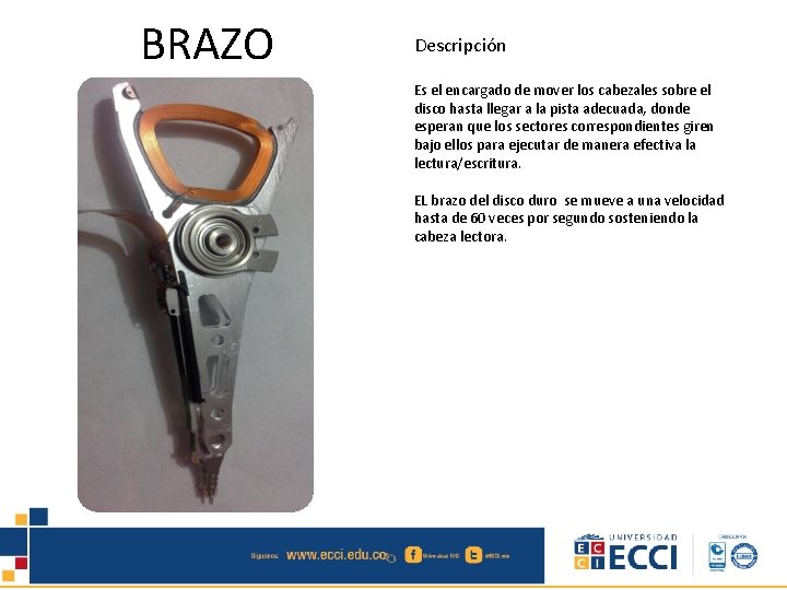 BRAZO Descripción Es el encargado de mover los cabezales sobre el disco hasta llegar