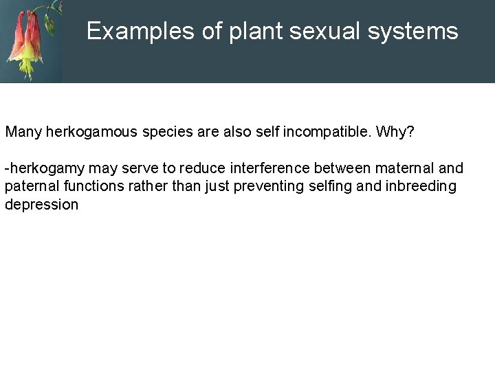 Examples of plant sexual systems Many herkogamous species are also self incompatible. Why? -herkogamy