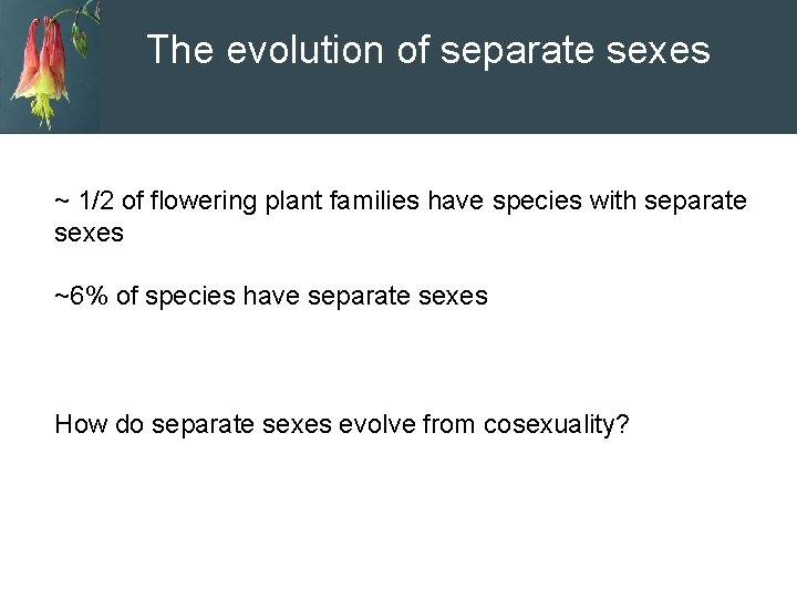 The evolution of separate sexes ~ 1/2 of flowering plant families have species with