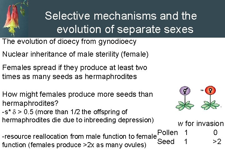 Selective mechanisms and the evolution of separate sexes The evolution of dioecy from gynodioecy