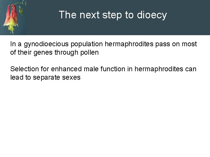 The next step to dioecy In a gynodioecious population hermaphrodites pass on most of