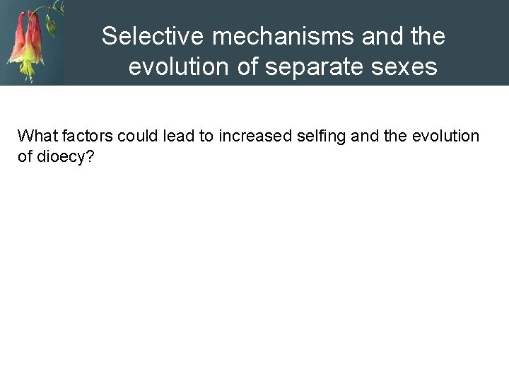 Selective mechanisms and the evolution of separate sexes What factors could lead to increased