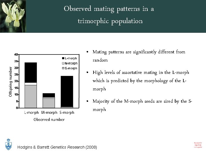 Observed mating patterns in a trimorphic population • Mating patterns are significantly different from