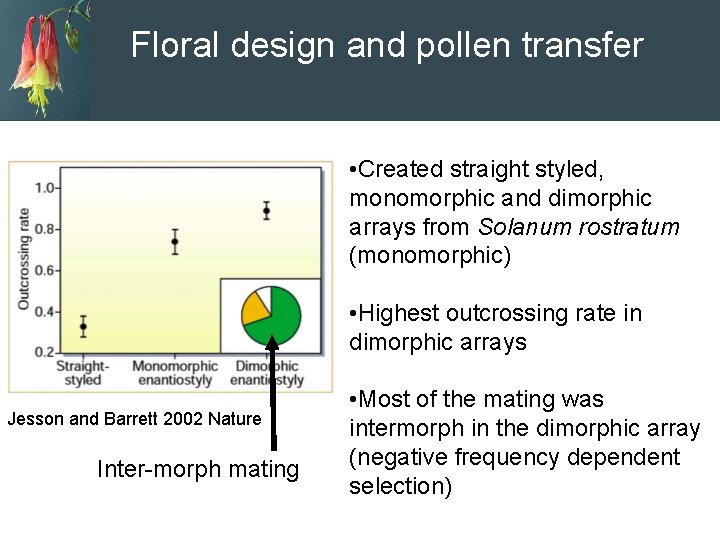 Floral design and pollen transfer • Created straight styled, monomorphic and dimorphic arrays from