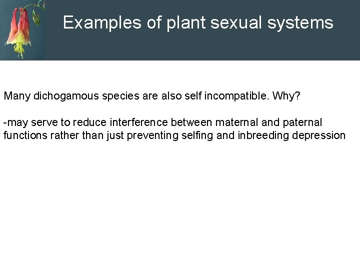 Examples of plant sexual systems Many dichogamous species are also self incompatible. Why? -may