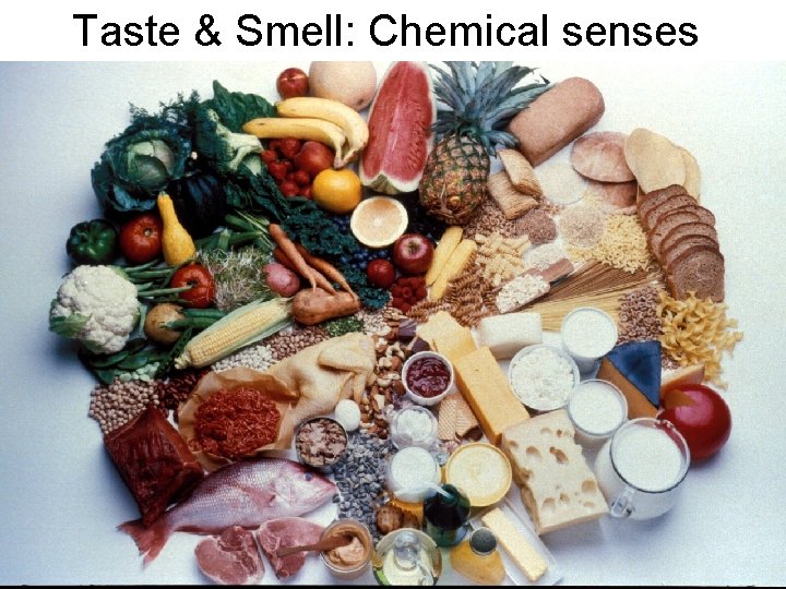 Taste & Smell: Chemical senses 