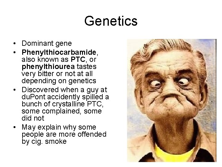 Genetics • Dominant gene • Phenylthiocarbamide, also known as PTC, or phenylthiourea tastes very
